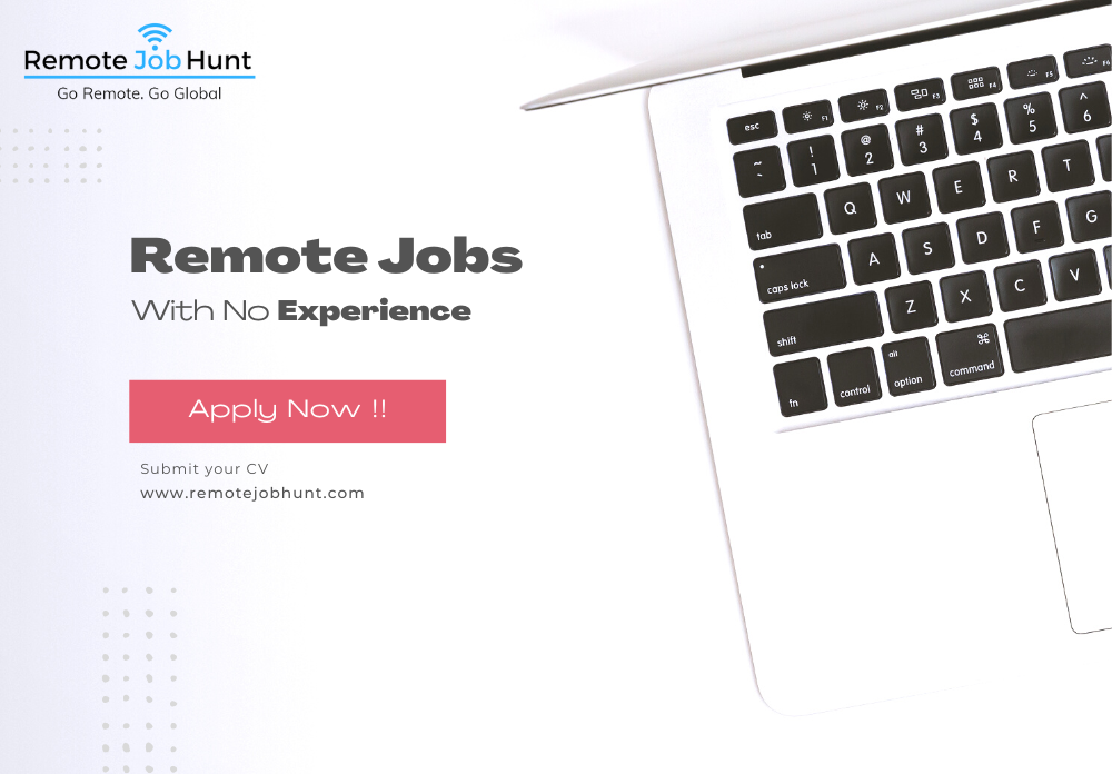 Remote Job with no experience