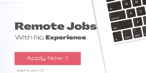 Remote Job with no experience
