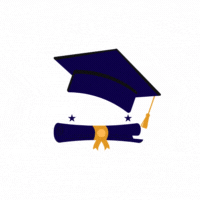 Assignment helper uk